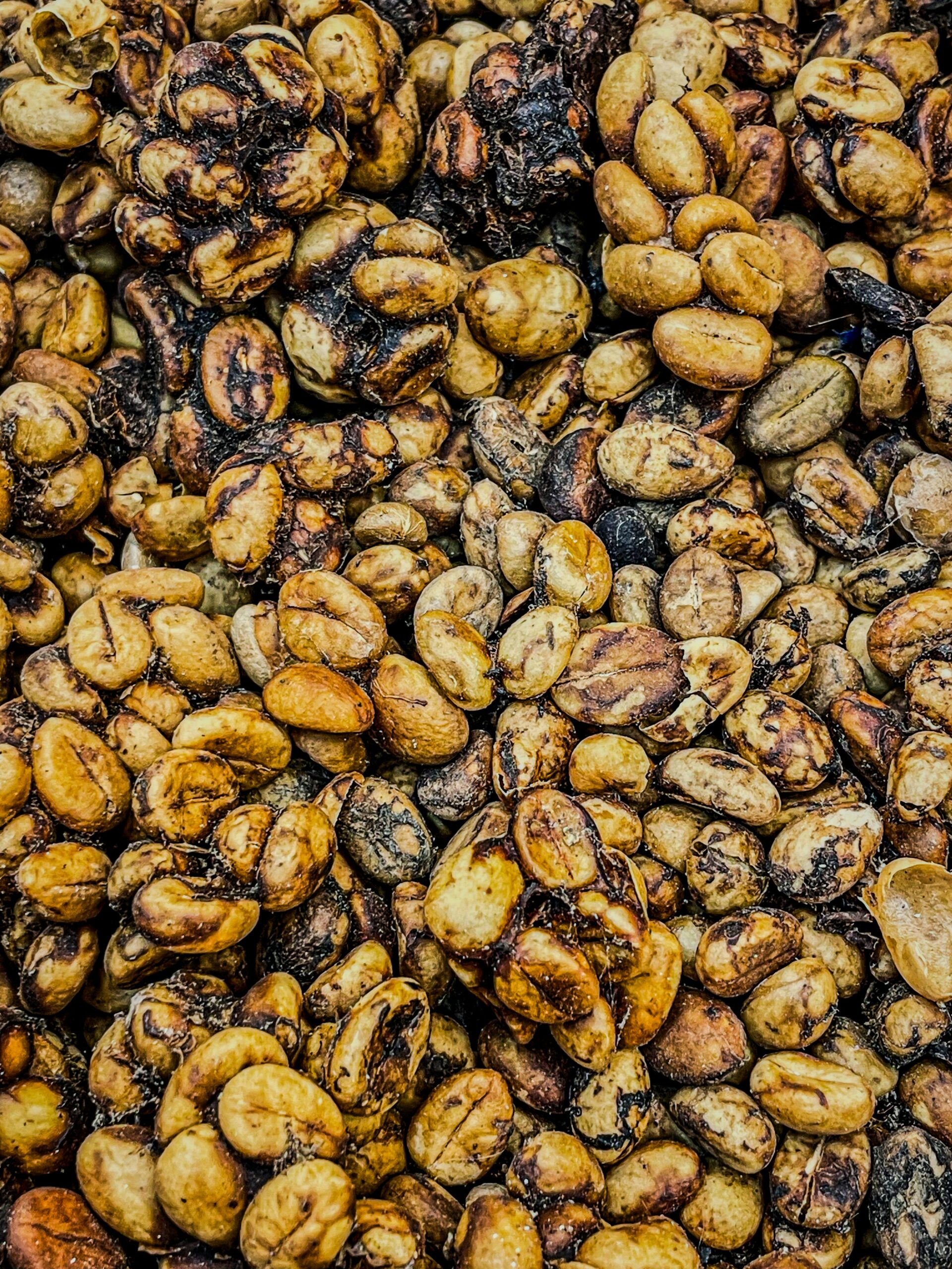 A close up of a bunch of nuts